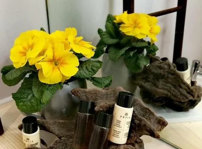 Milleunastella Montescaglioso